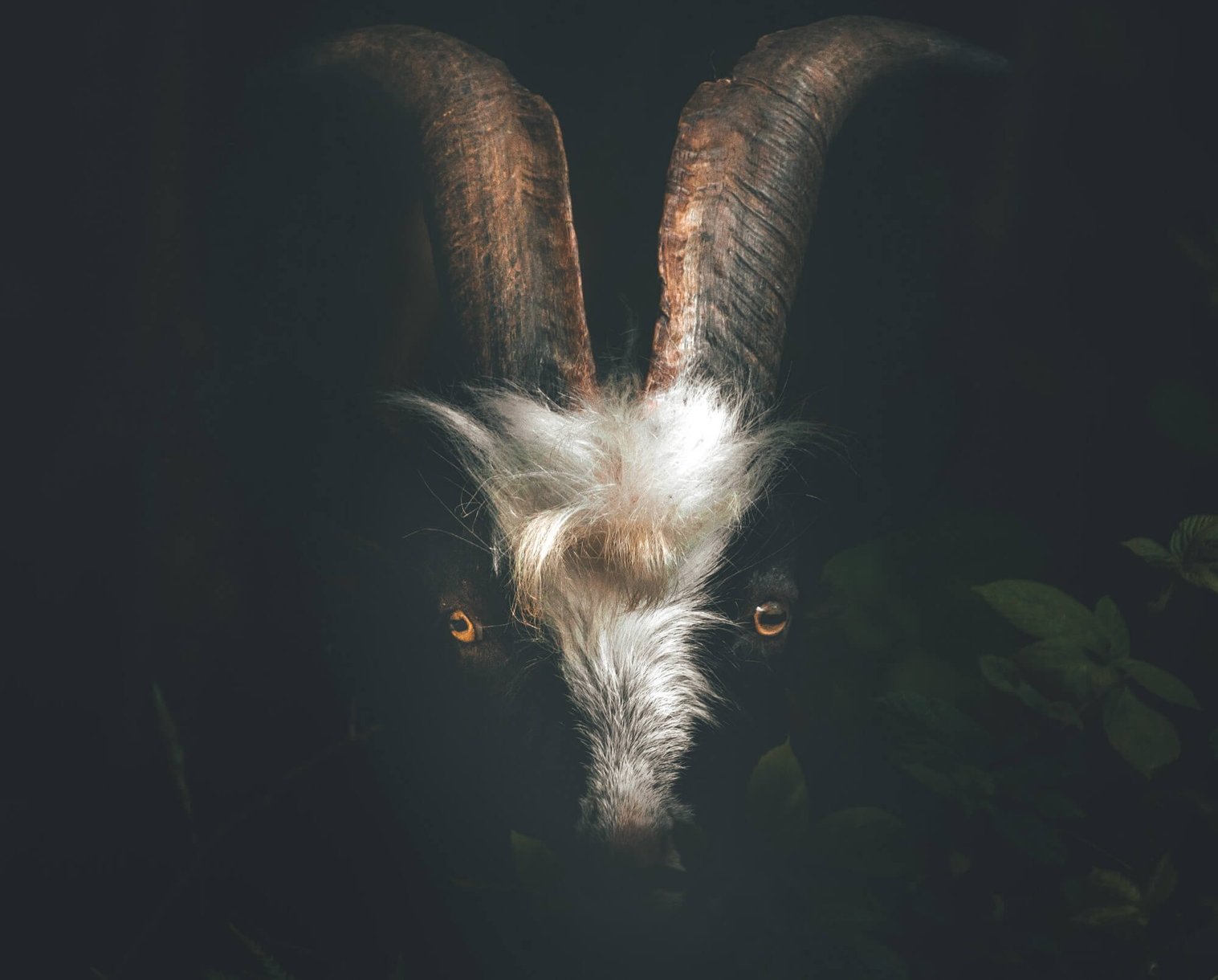 by Rob Potter