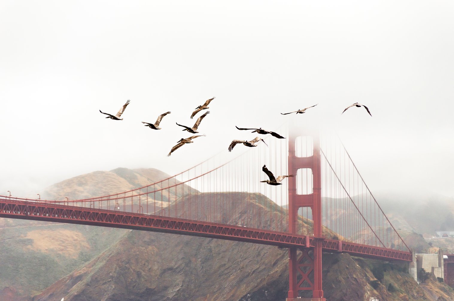 https://unsplash.com/s/_dwwHrYRWcM