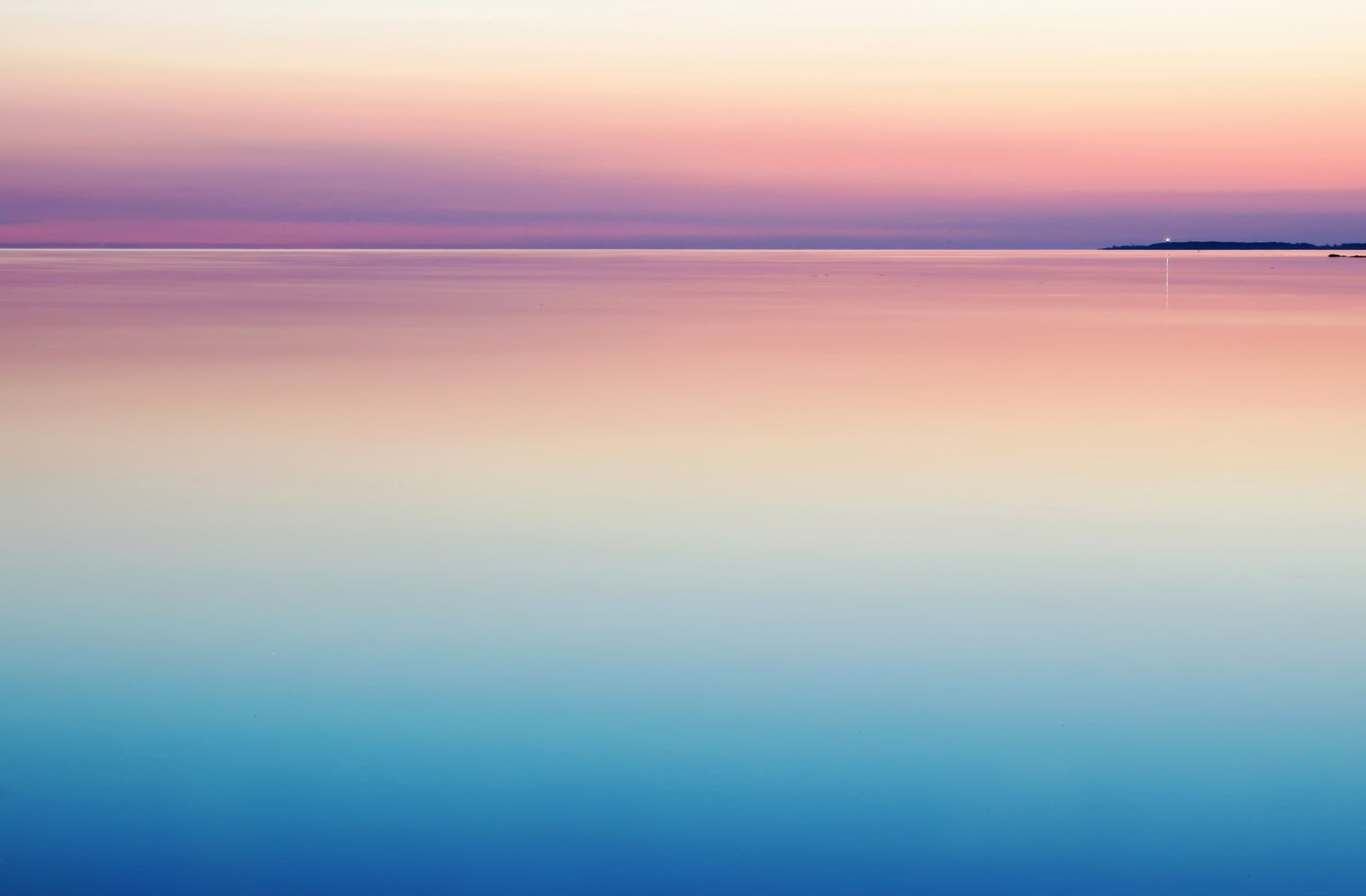 by Harli  Marten