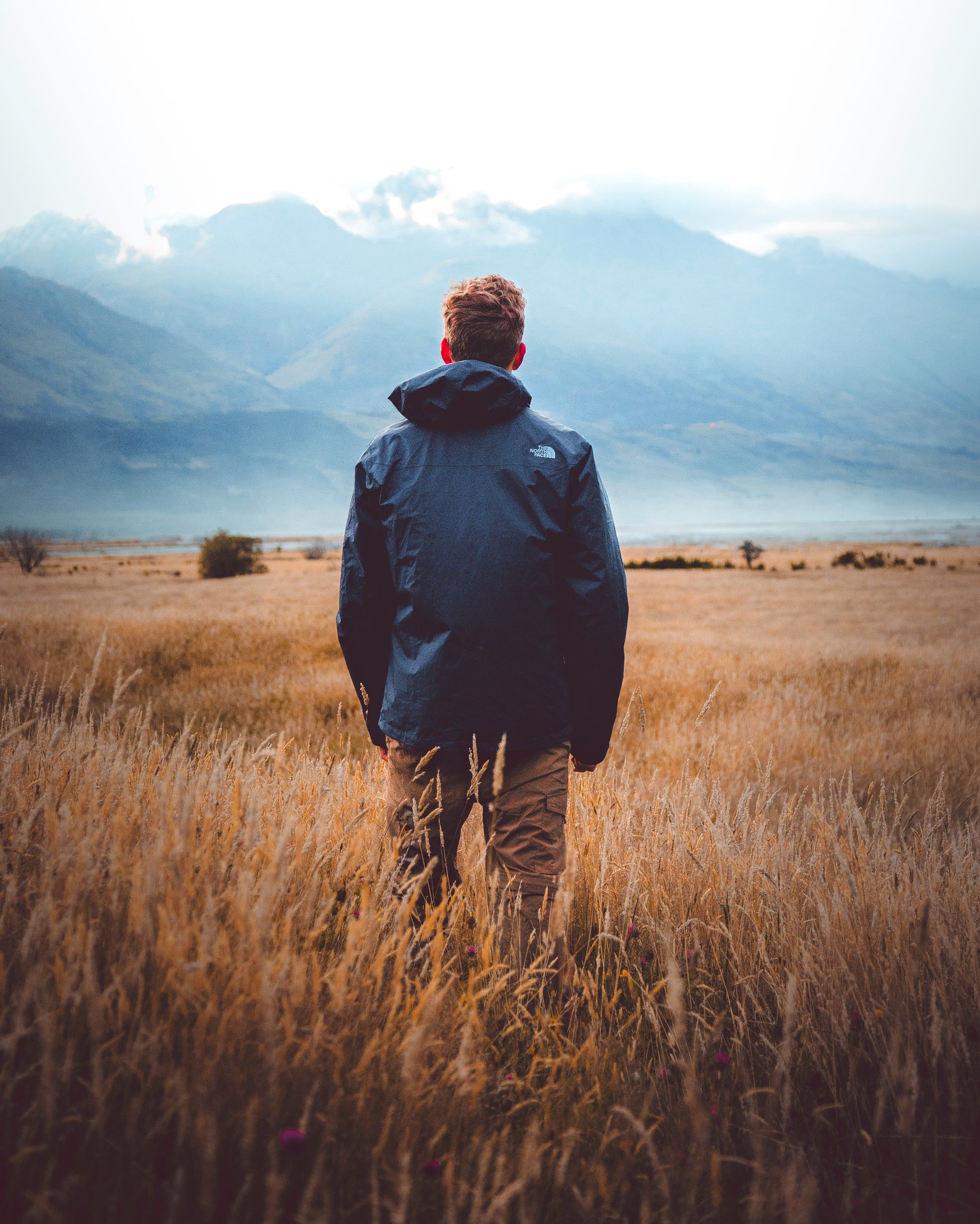 Man in middle of wheat field
