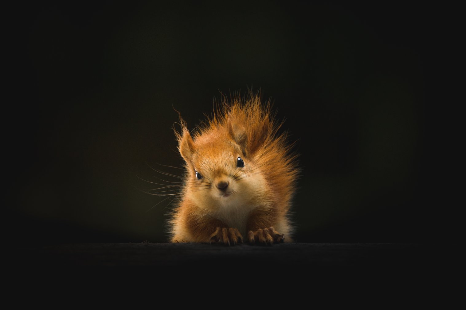 by Geran de Klerk