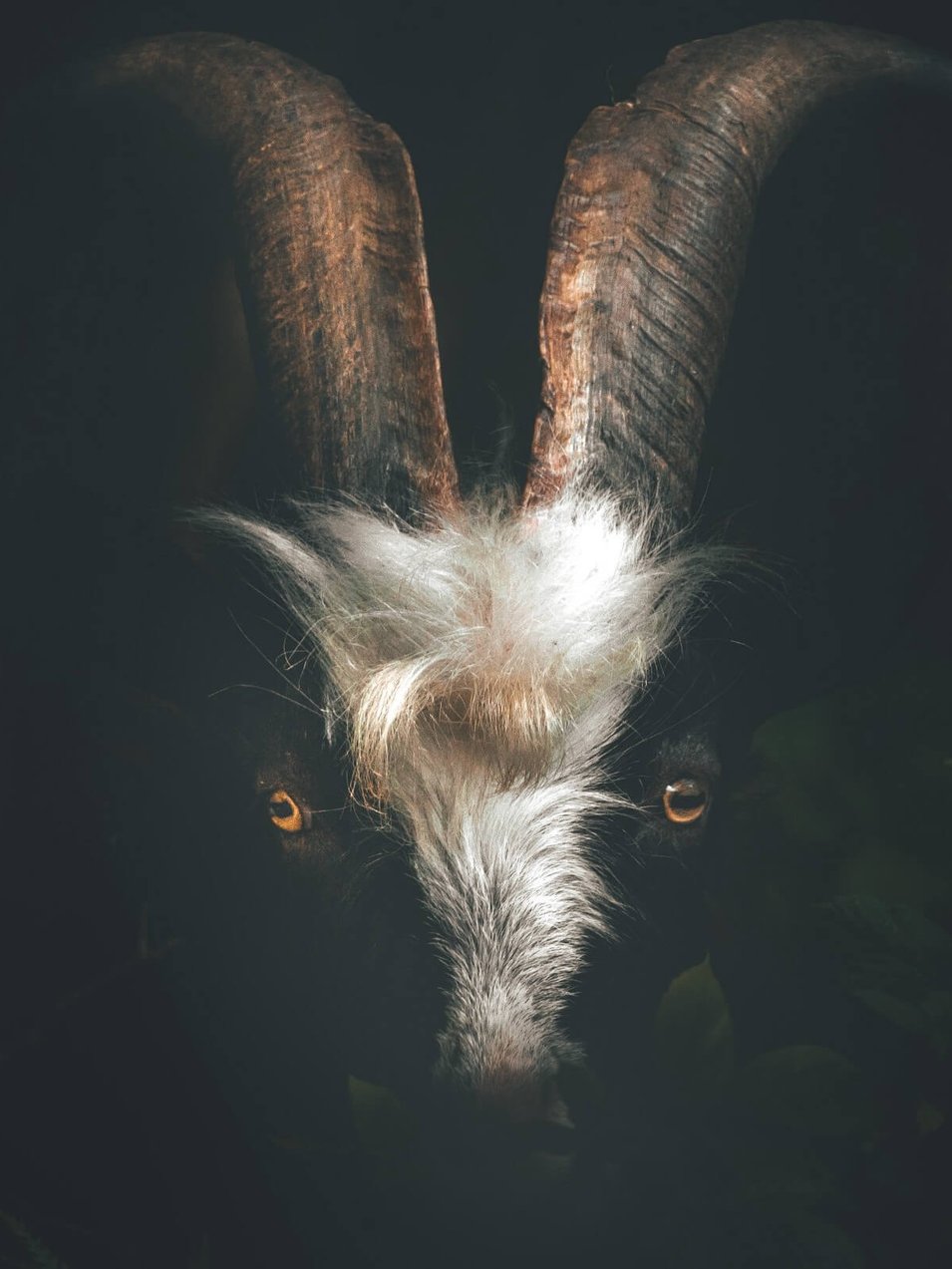 Photo by [Rob Potter](https://unsplash.com/photos/mrZVkCKyaPk)