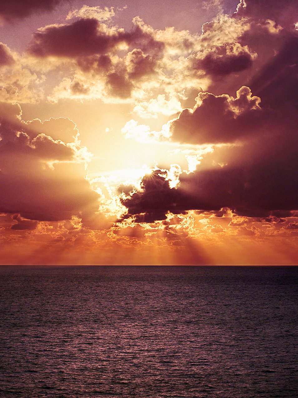 Photo by [Nick Scheerbart](https://unsplash.com/photos/8DMuvdp-vso)
