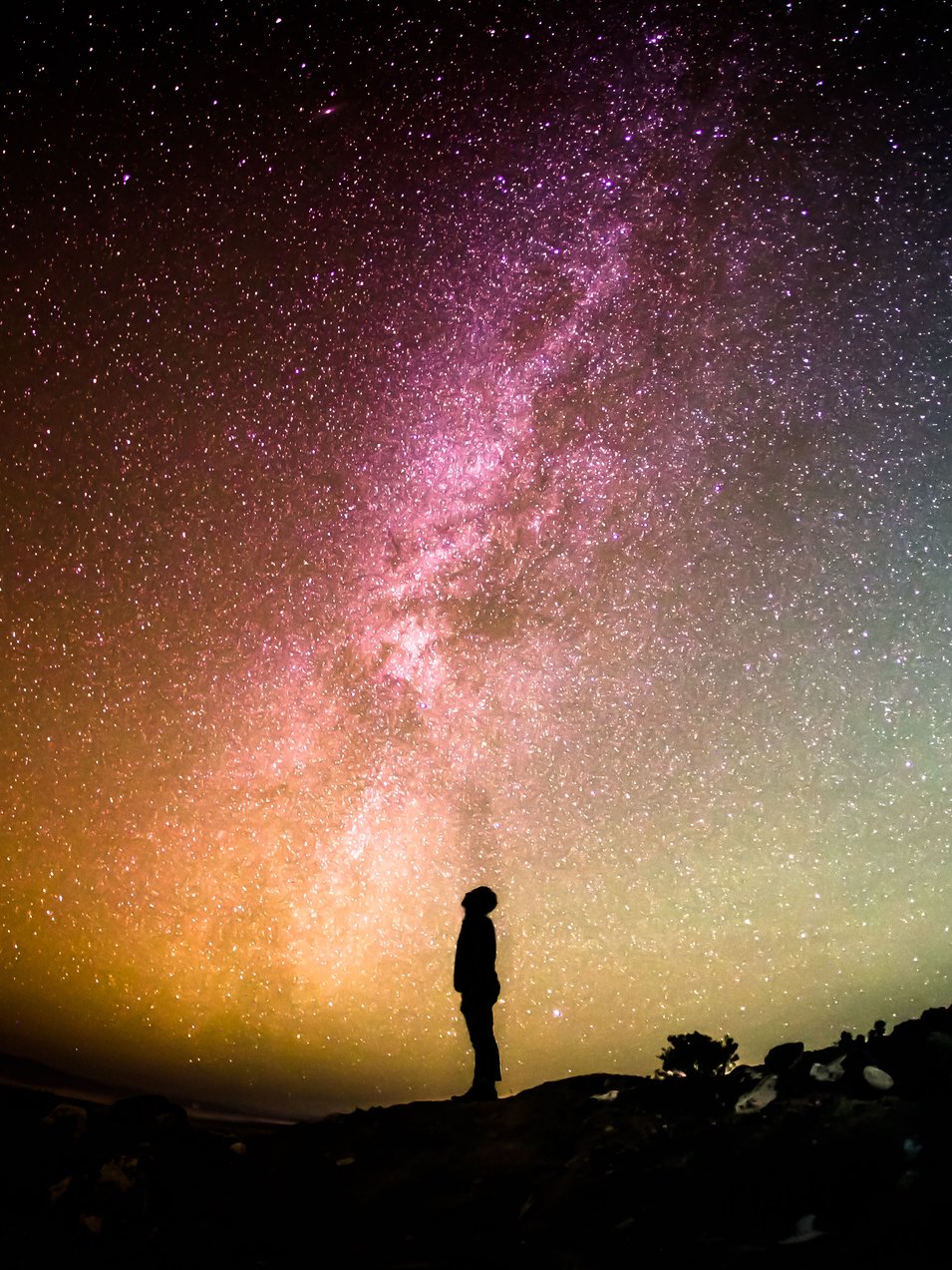 Photo by [Greg Rakozy](https://unsplash.com/photos/oMpAz-DN-9I)