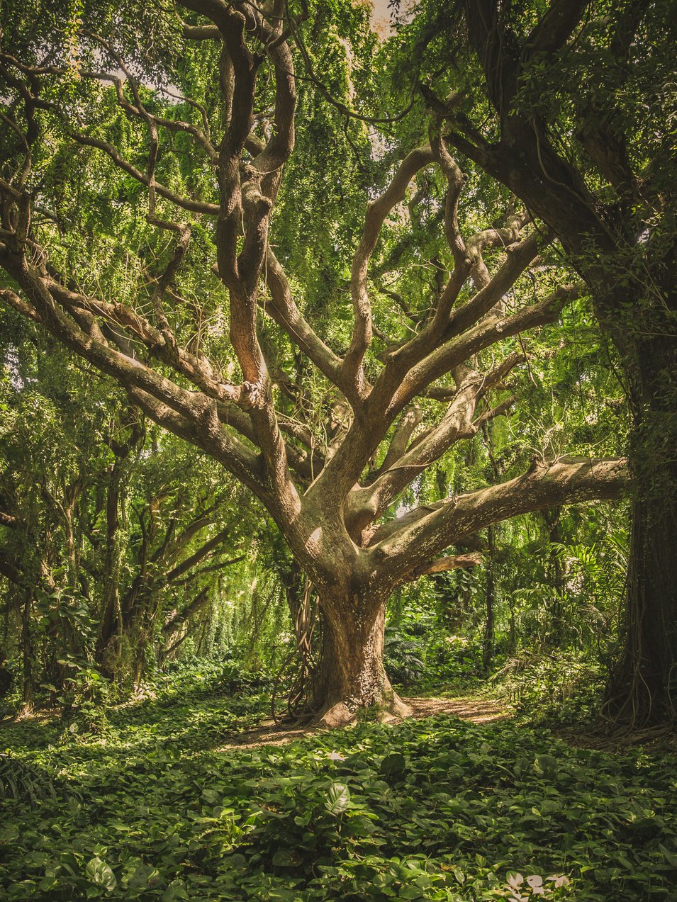 Obligatory semi-to-not-related header image via: [https://unsplash.com/photos/sMQiL_2v4vs](https://unsplash.com/photos/sMQiL_2v4vs)