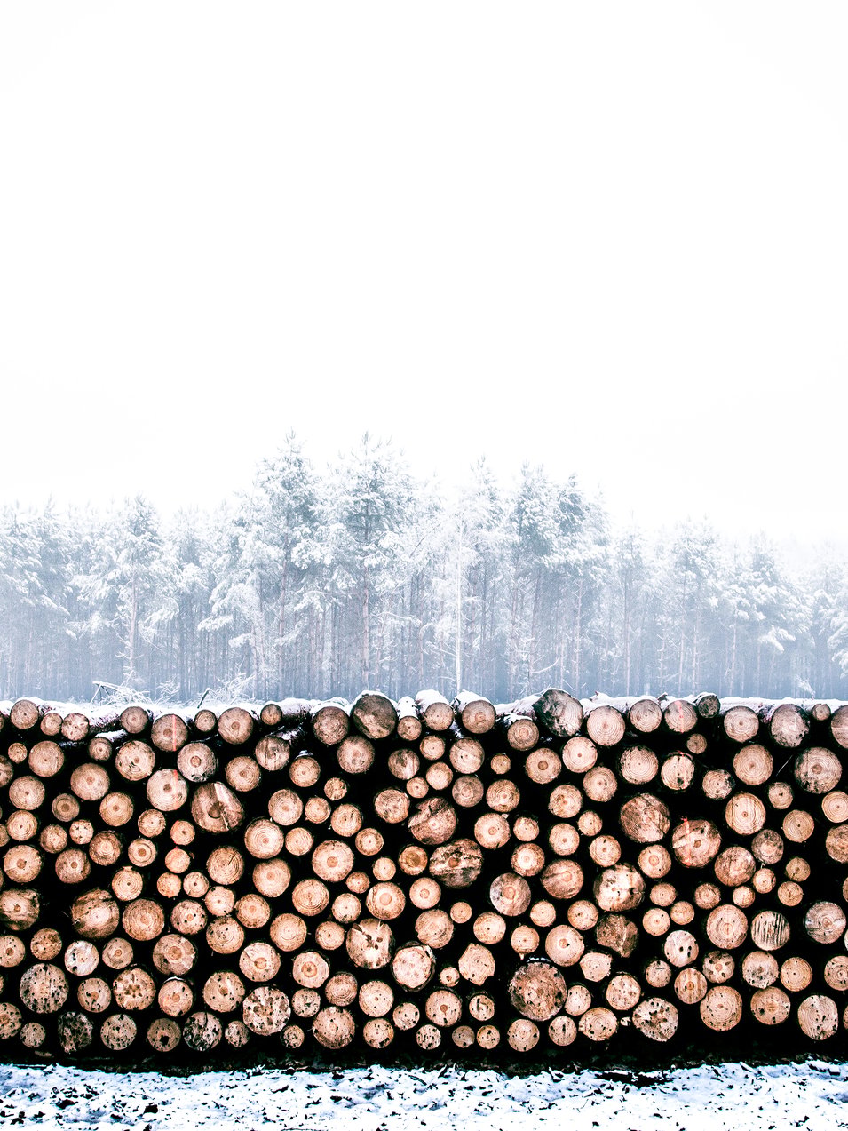 Photo by [Radek Grzybowski](https://unsplash.com/photos/8tem2WpFPhM)