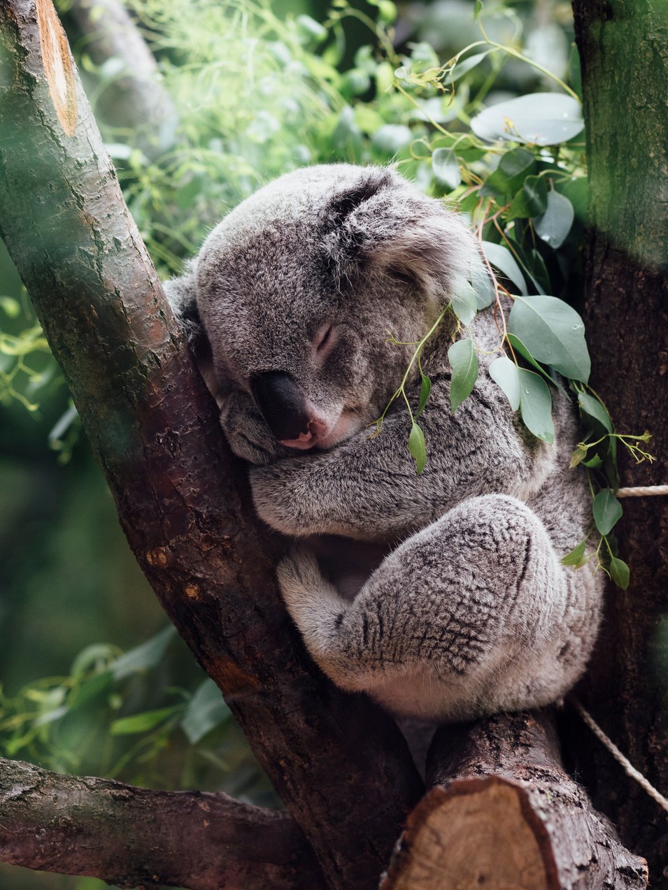Photo by [Jordan Whitt](https://unsplash.com/photos/EerxztHCjM8)