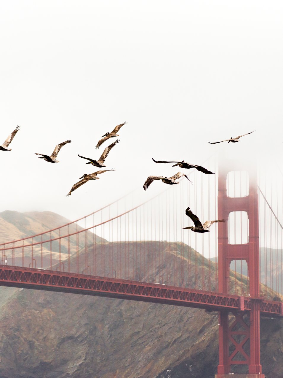 [https://unsplash.com/photos/_dwwHrYRWcM](https://unsplash.com/photos/_dwwHrYRWcM)