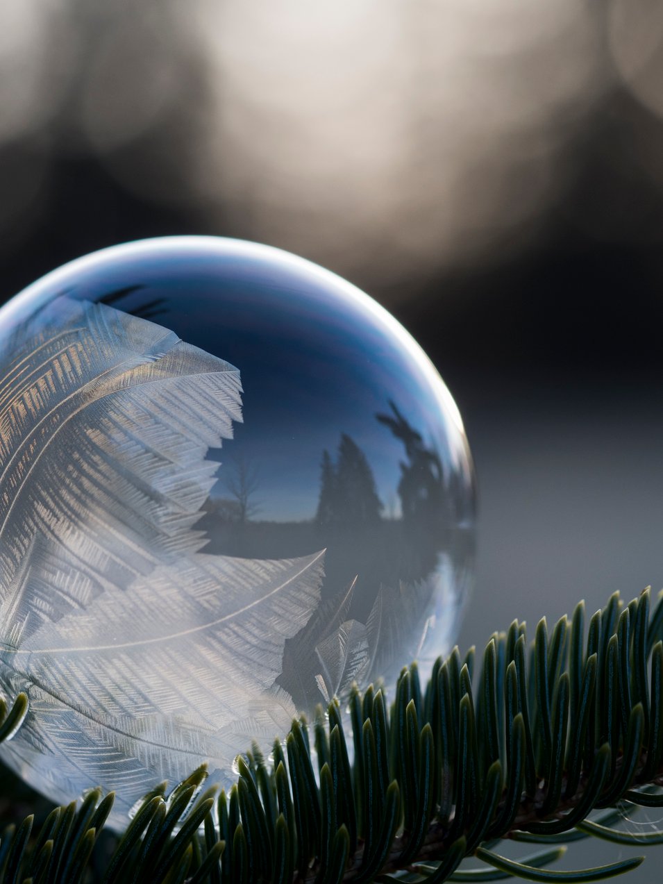 Photo by [Aaron Burden](https://unsplash.com/photos/BojuZpqw4zM)