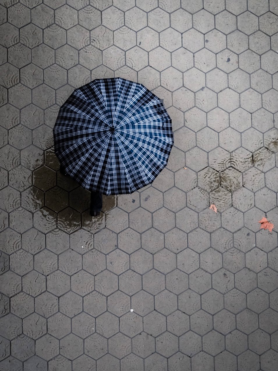 Photo by [Craig  Whitehead](https://unsplash.com/photos/aJfy0WtHtkc)