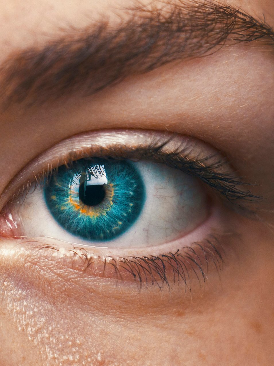 Selective focus of blue-eyed person