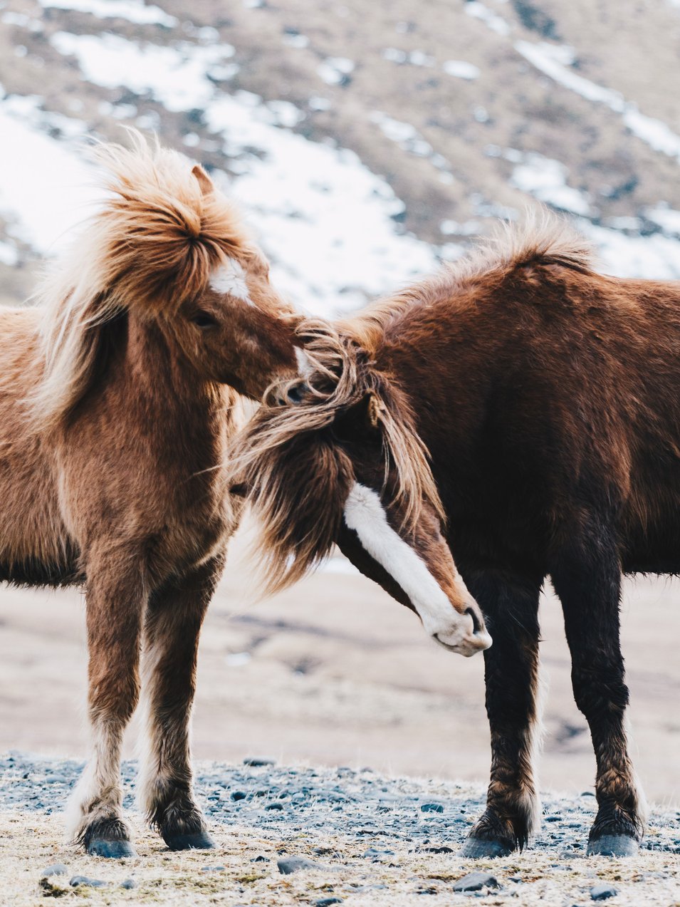 Photo by [Genevieve Perron-Migneron](https://unsplash.com/photos/vXZ_lC0XN4c)