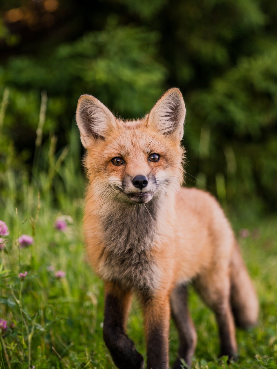 Photo by [Scott Walsh](https://unsplash.com/photos/CQl3Y5bV6FA)