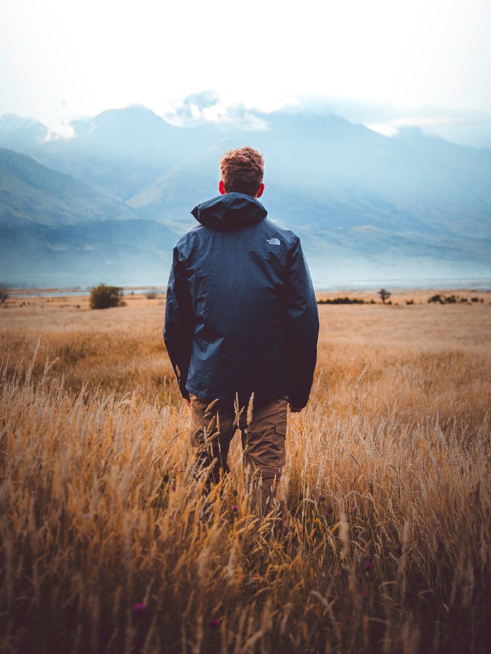 Man in middle of wheat field