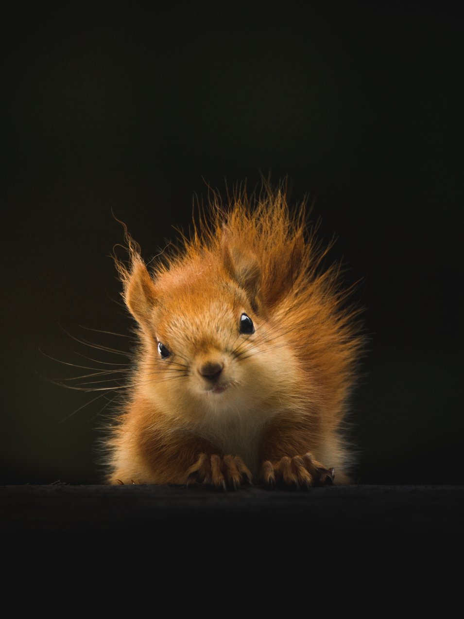 Photo by [Geran de Klerk](https://unsplash.com/photos/bKhETeDV1WM)