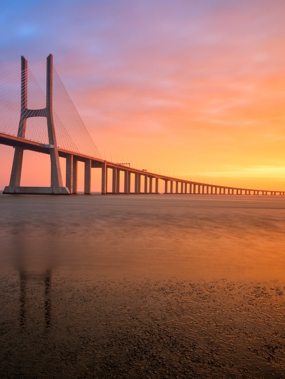Photo by [Everaldo Coelho](https://unsplash.com/photos/2GW4S08kd-8)