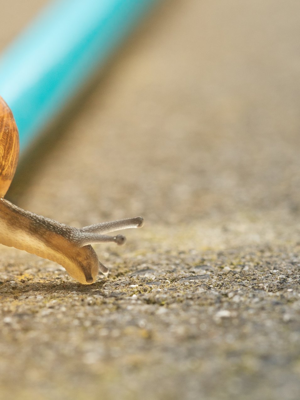 Photo by [Pascal van de Vendel](https://unsplash.com/photos/J3pkJFnpDkM)