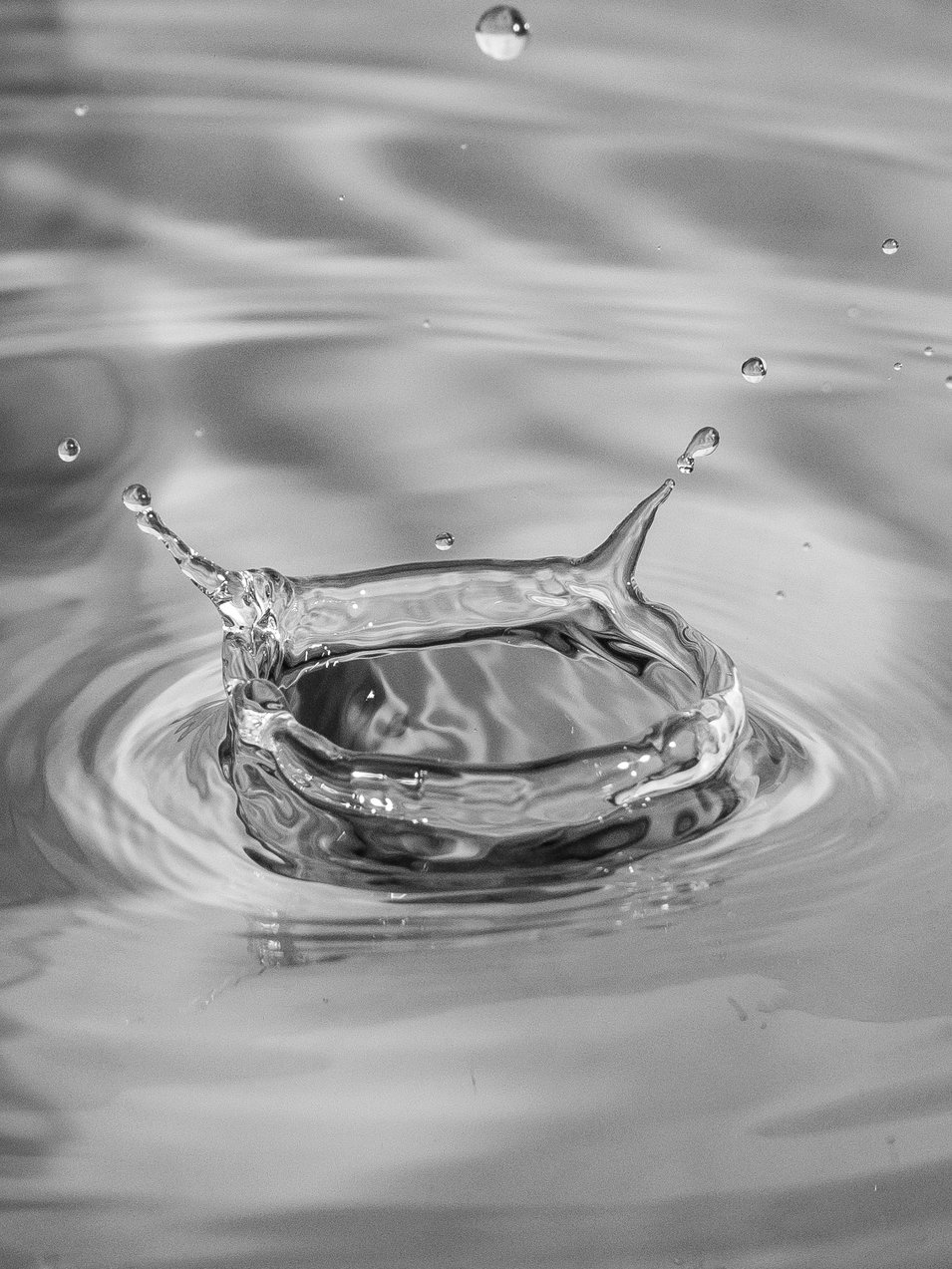 Photo by [Mohan Murugesan](https://unsplash.com/photos/aPUi7w4kKbI)