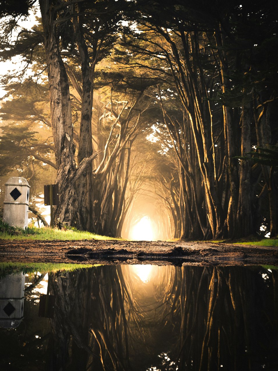 Body of water in front of brown soil digital art