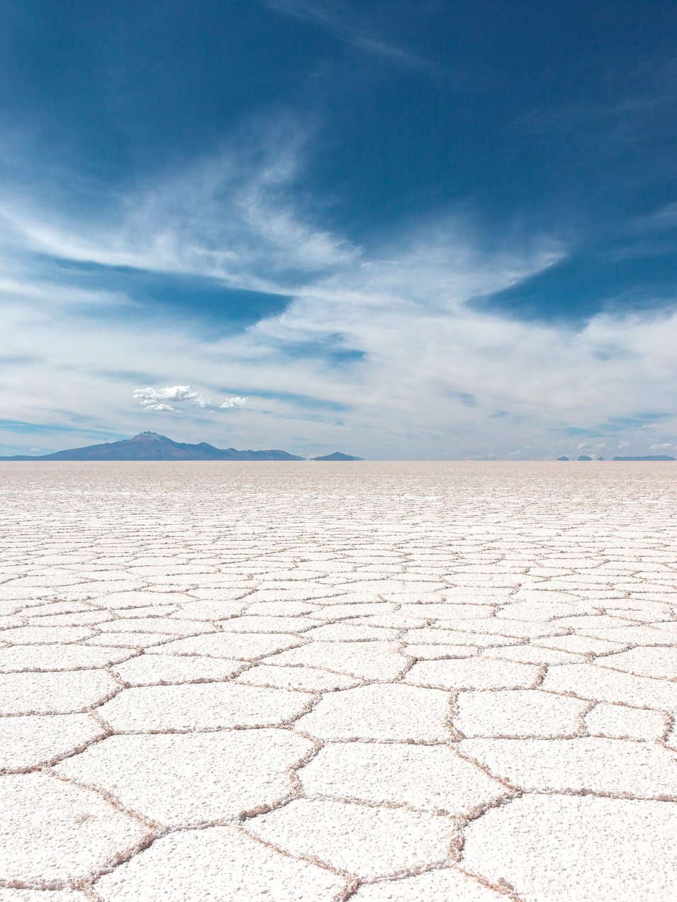 Photo by [Samuel Scrimshaw](https://unsplash.com/photos/kp_87tExCwI)