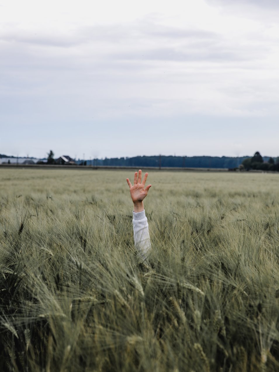 Photo by [Jonny Caspari](https://unsplash.com/photos/DVzt7cvRKRo)