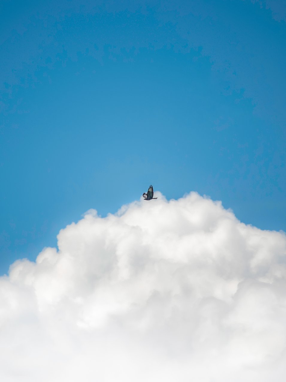 Photo by [Klemen Vrankar](https://unsplash.com/photos/F_7Z1A6Jp_s)