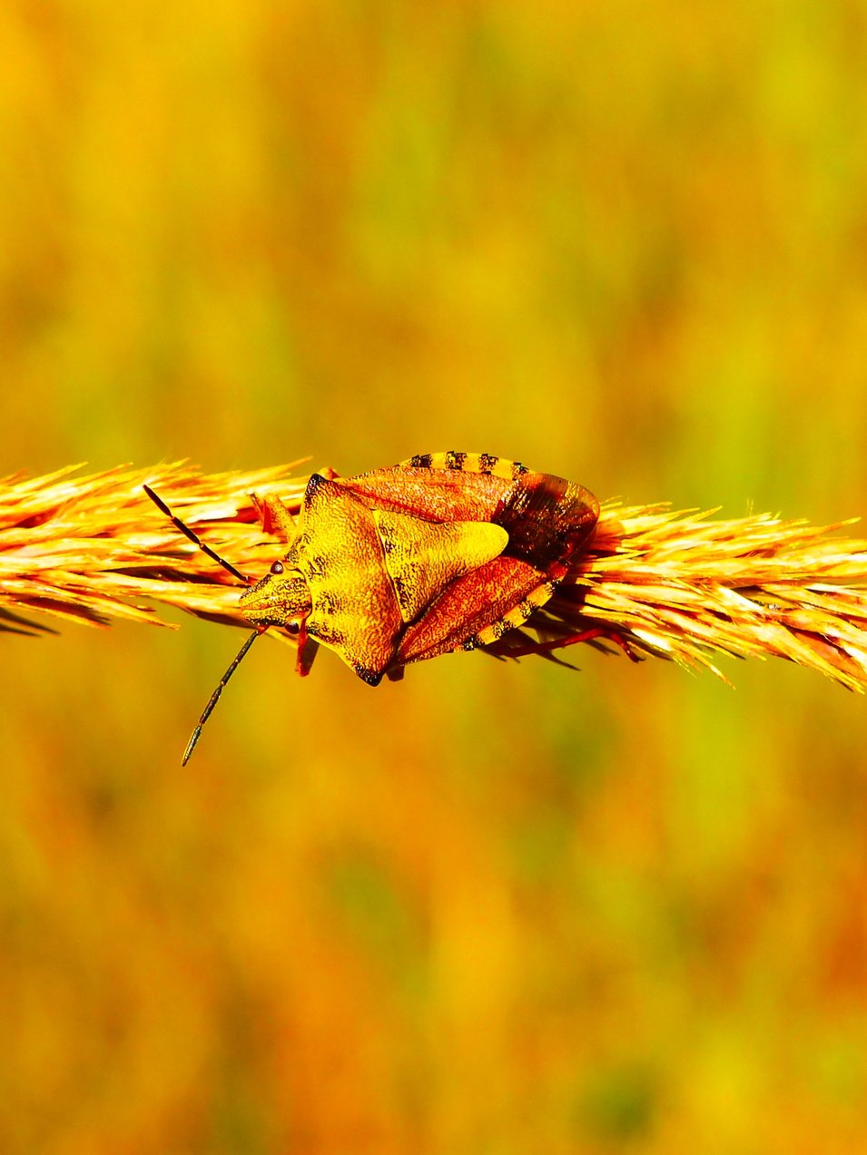 Photo by [Krzysztof Niewolny](https://unsplash.com/photos/HmKIoGSRj7A)