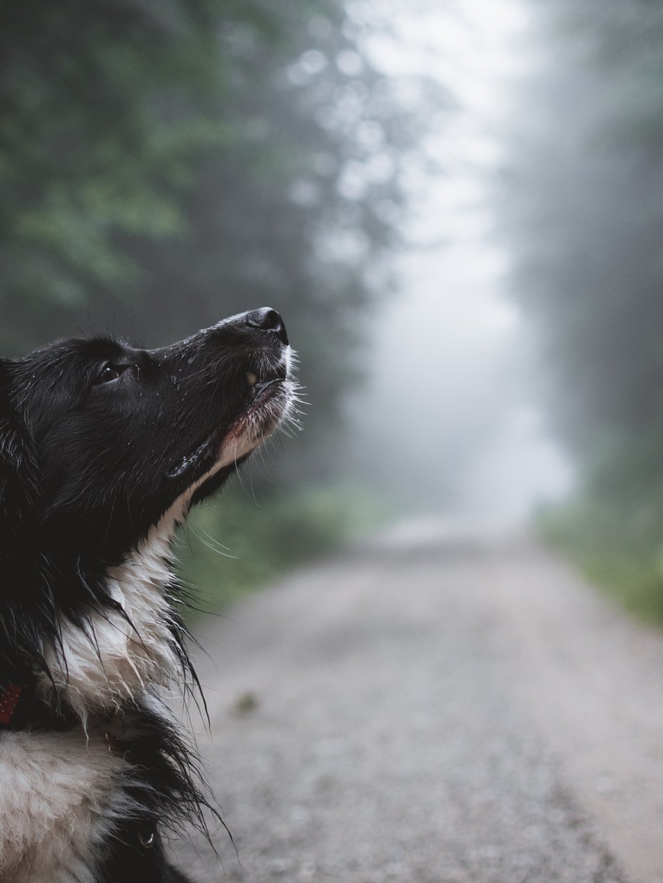 Photo by [Tadeusz Lakota](https://unsplash.com/photos/i1Mf6EkLf9E)