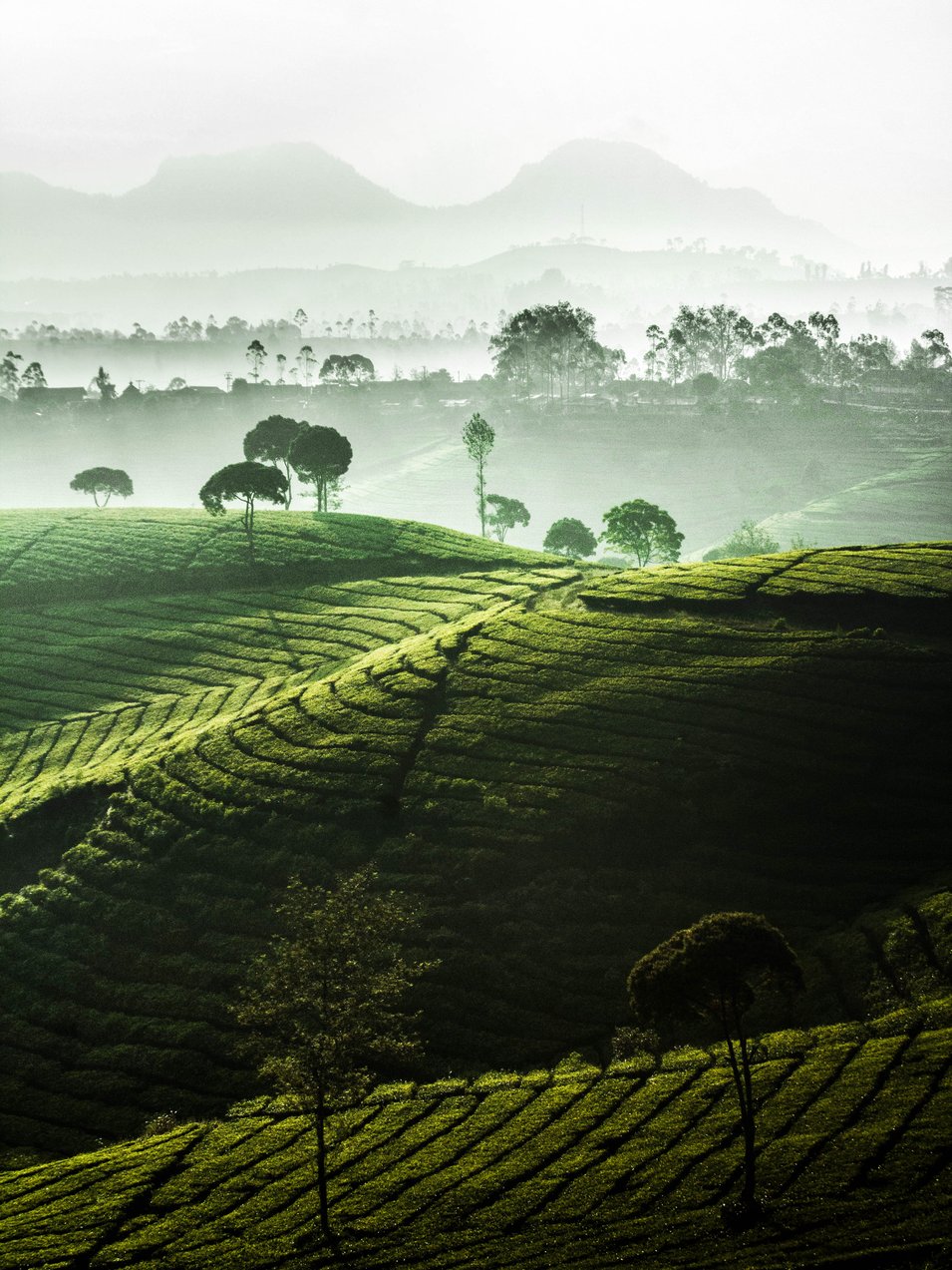 Photo by [Dwinanda Nurhanif Mujito](https://unsplash.com/photos/3vp_7D1xd2A)