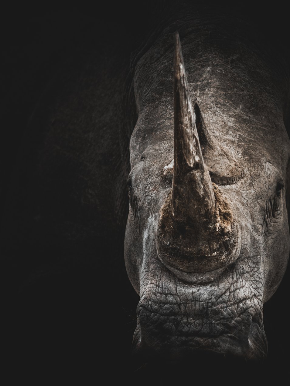Photo by [Geran de Klerk](https://unsplash.com/photos/KsMD_tAdjg0)