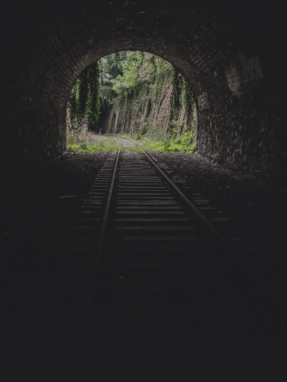 Photo by [Florian Olivo](https://unsplash.com/photos/Nc5Q_CEcY44)