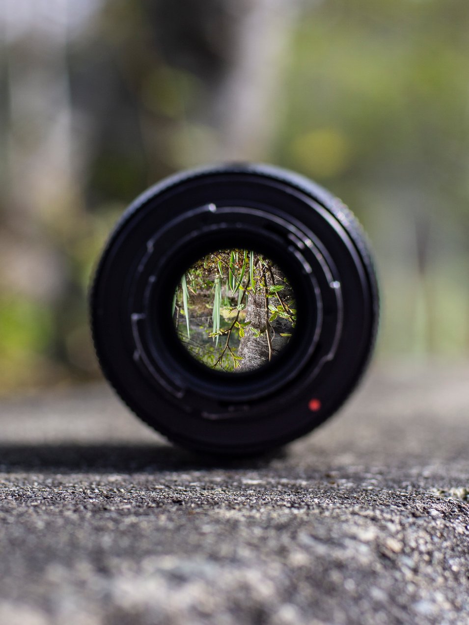Photo by [Jasper Garratt](https://unsplash.com/photos/CL96u03iK_Y)